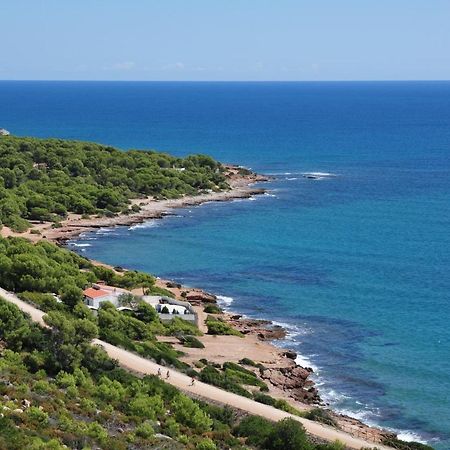 Apartmán La Casa Del Pompon Benicàssim Exteriér fotografie